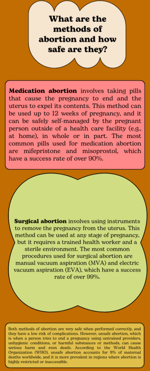 Brown Light Green Pink Shapes and Stickers Pro Choice Education Infographic